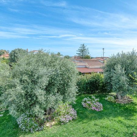 La Casa Degli Ulivi Appartamento In Villa Con Patio Quartu SantʼElena Dış mekan fotoğraf